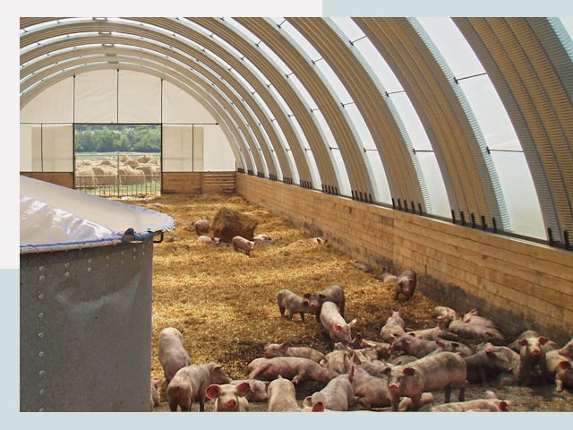 Строительство свинарников в Печоре