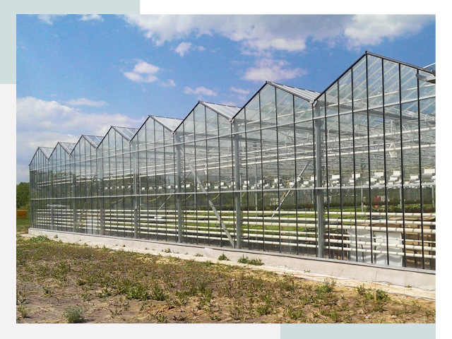 Строительство теплиц в Печора от 611 руб. за м²